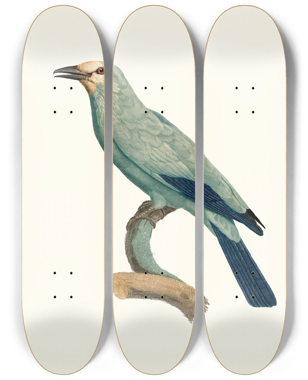 Triptych art skateboard deck of Jacques Barraband Le Rollier Verd by Jacques Barraband (1767-1809)