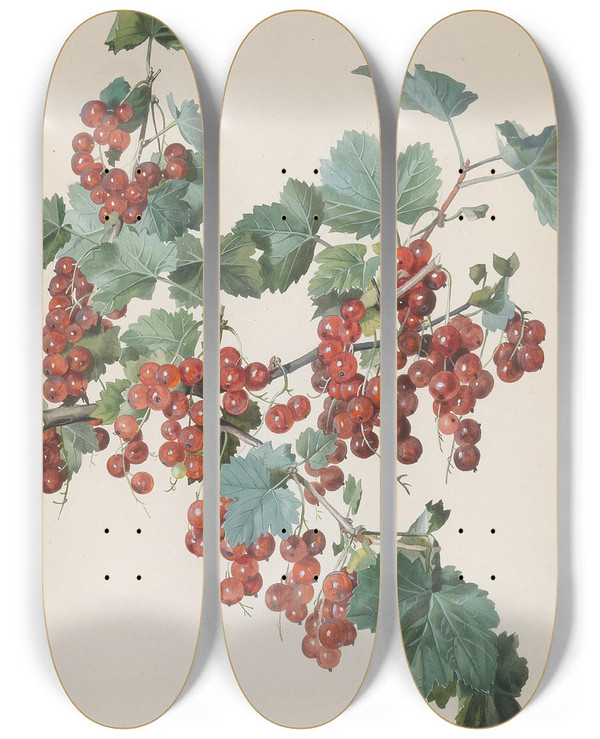 Triptych art skateboard deck of Leopold Zinngger Rote Ribisel by Leopold Zinnogger (1811-1872)