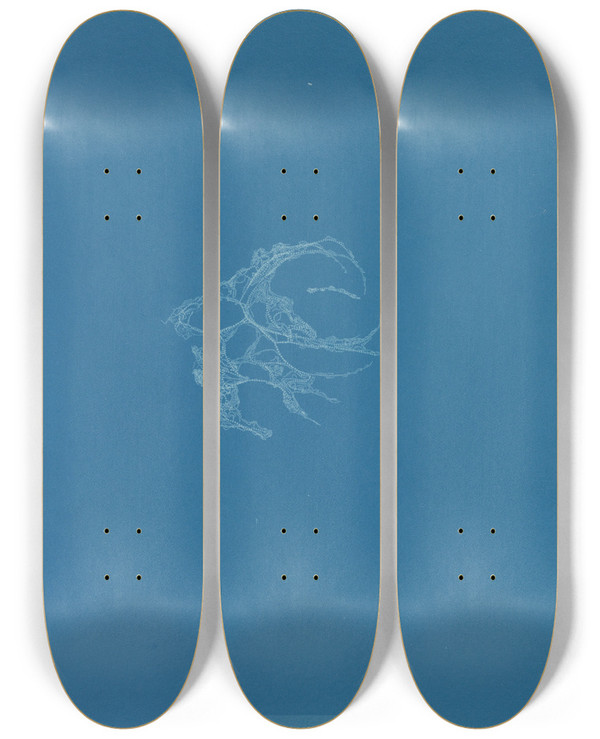 Triptych art skateboard deck of Anna Atkins Batrachospermum Alpestre by Anna Atkins (1799-1871)