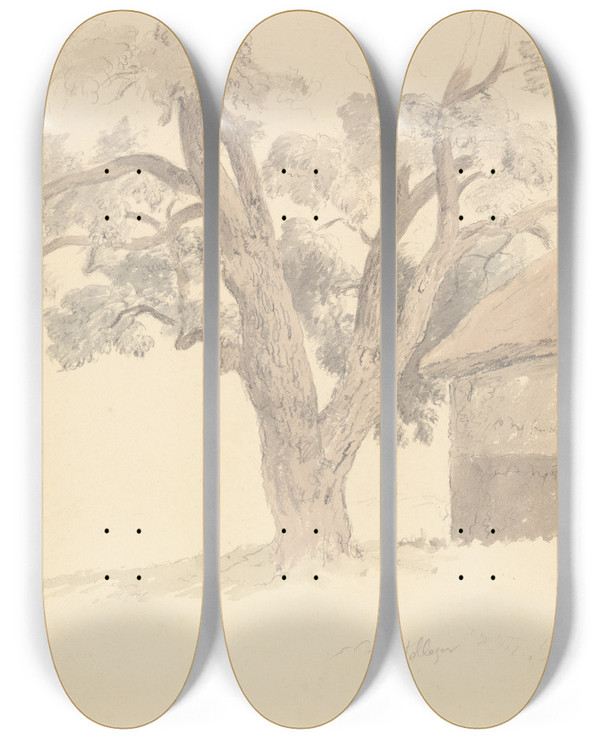 Triptych art skateboard deck of Robert Hills Walnut Tree by Robert Hills (1769-1844)