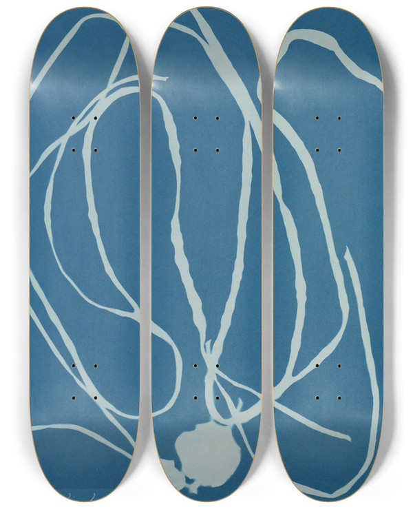 Triptych art skateboard deck of Anna Atkins Himanthalia Lorea by Anna Atkins (1799-1871)