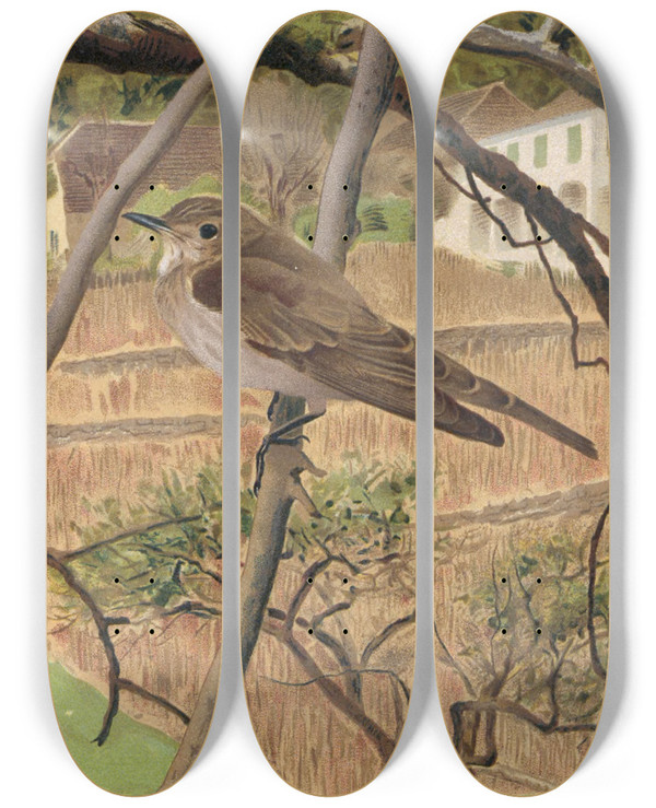 Triptych art skateboard deck of Lopaul Robert Gobemouches Gris by Leo Paul Robert (1851-1923)