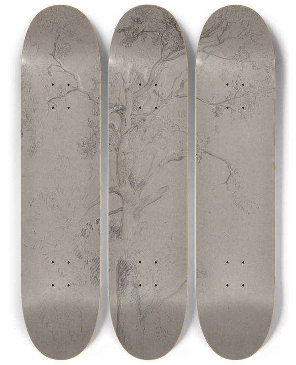 Triptych art skateboard deck of Peter Dewint Ash Tree In Ashstead Park by Peter Dewint (1784-1849)