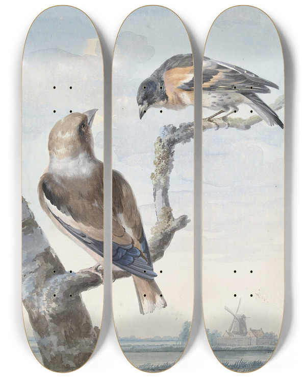 Triptych art skateboard deck of Aert Schouman Twee Vogels Een Appelvink Coccothraustes Coccothraustes En Een Keep Fringilla Montifringilla by Aert Schouman (1710-1792)
