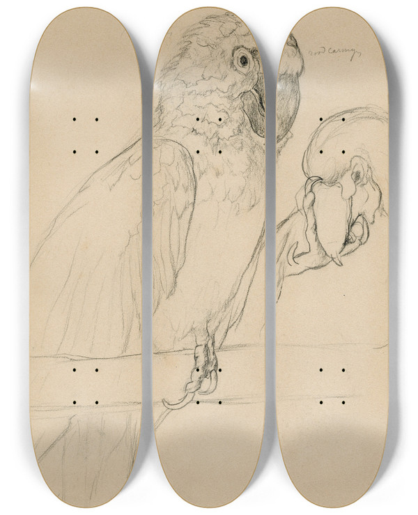Triptych art skateboard deck of Theo Van Hoytema Twee Papegaaien by Theo Van Hoytema (1863-1917)