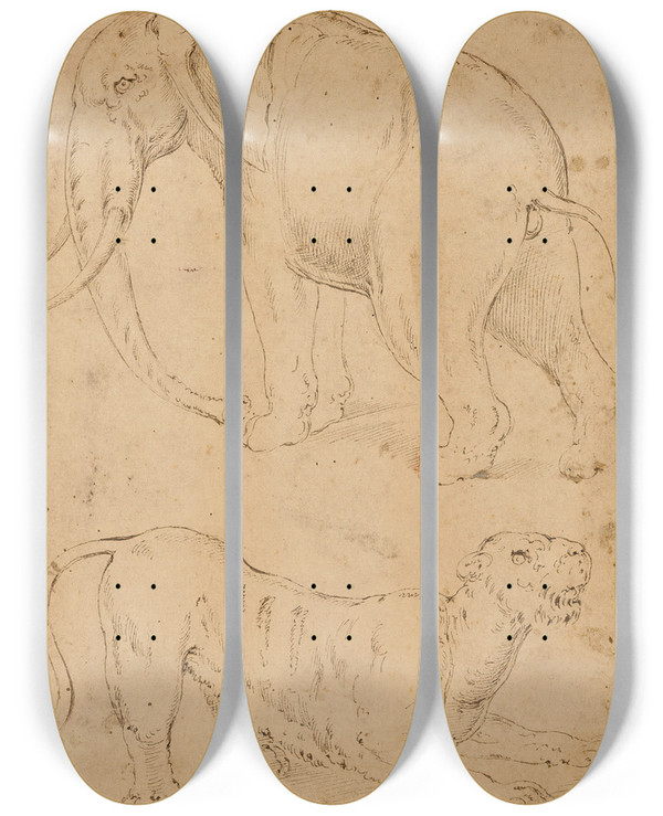 Triptych art skateboard deck of Giovannibattista Franco Tude Dun Lphant Et Dune Panthre by Giovanni-Battista Franco (1510-1561)