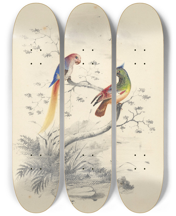 Triptych art skateboard deck of Edward Lear A Pair Of Parrots by Edward Lear (1812-1888)