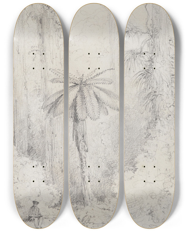 Triptych art skateboard deck of William Swainson Silver Leaved Fern Hutt Forest by William Swainson (1789-1855)