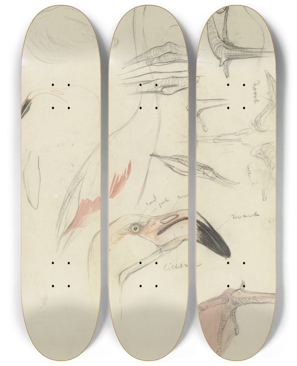 Triptych art skateboard deck of Theo Van Hoytema Studies Van Een Flamingo by Theo Van Hoytema (1863-1917)