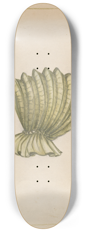 Fanchon Larzelere - Calash 8.25 inch art skate deck