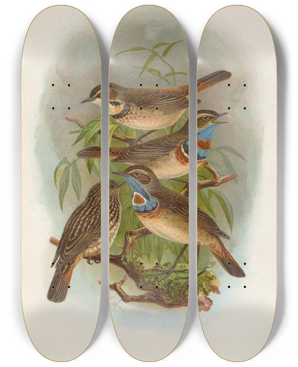 Triptych art skateboard deck of Johann Friedrich Naumann Erithacus Suecicus by Johann Friedrich Naumann (1780-1857)