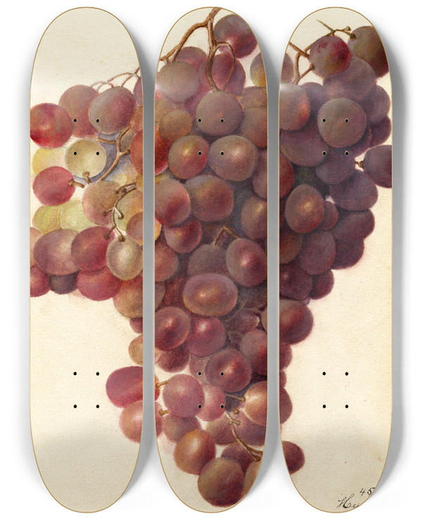 Triptych art skateboard deck of Deborah Griscom Passmore Vitis Hycales by Deborah Griscom Passmore (1840-1911)