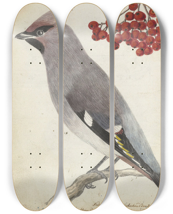 Triptych art skateboard deck of Jan Brandes Zweedse Vogel by Jan Brandes (1743-1808)