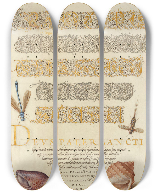 Triptych art skateboard deck of Joris Hoefnagel Damselfly Insect And Marine Mollusks by Joris Hoefnagel (1542-1600)