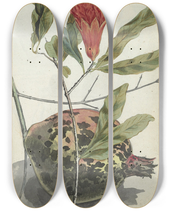 Triptych art skateboard deck of Jan Brandes Pomegranate by Jan Brandes (1743-1808)