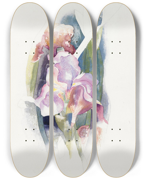 Triptych art skateboard deck of Charles Demuth Purple Iris by Charles Demuth (1883-1935)