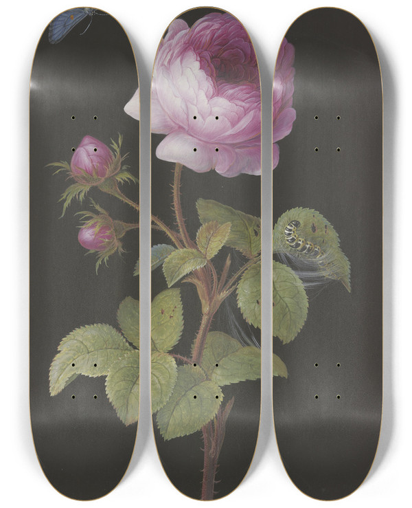 Triptych art skateboard deck of Elisabeth Christina Matthes Rosa Rose Rosa Mit Sich Einspinnender Raupe Und Bluling by Elisabeth Christina Matthes
