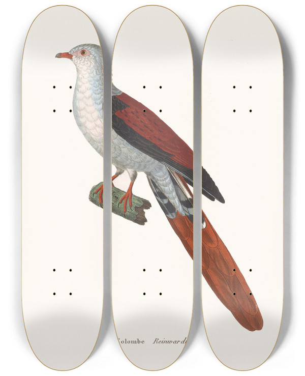 Triptych art skateboard deck of Coenraad Jacob Temminck Colombe Reinwardt by Coenraad Jacob Temminck (1778-1858)