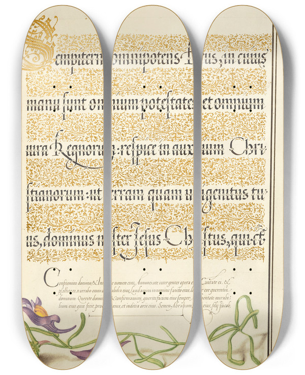 Triptych art skateboard deck of Joris Hoefnagel Toadflax by Joris Hoefnagel (1542-1600)