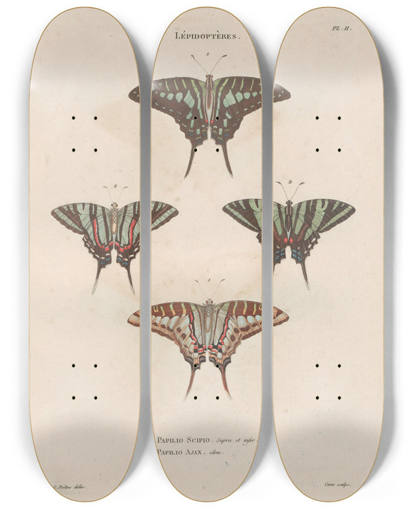 Triptych art skateboard deck of Jean Gabriel Pretre Insectes Recueillis En Afrique Et En Amrique Pl74 by Jean Gabriel Pretre (1768-1849)