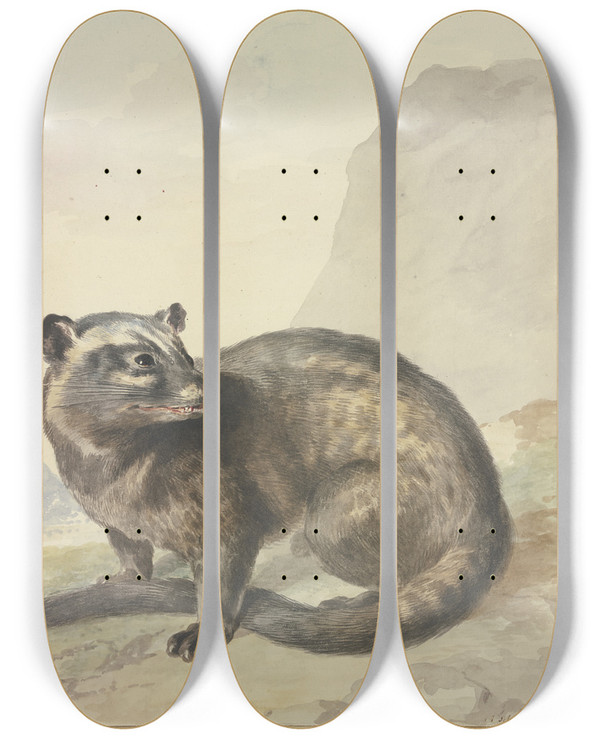 Triptych art skateboard deck of Aert Schouman Een Vreemde Levetkat by Aert Schouman (1710-1792)