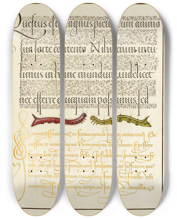 Triptych art skateboard deck of Joris Hoefnagel Caterpillars_2 by Joris Hoefnagel (1542-1600)