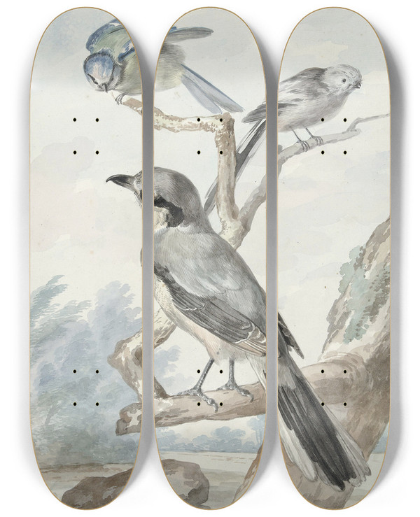 Triptych art skateboard deck of Aert Schouman Drie Vogels Een Staartmees Een Pimpelmees En Een Klapekster Of Grote Klauwier by Aert Schouman (1710-1792)
