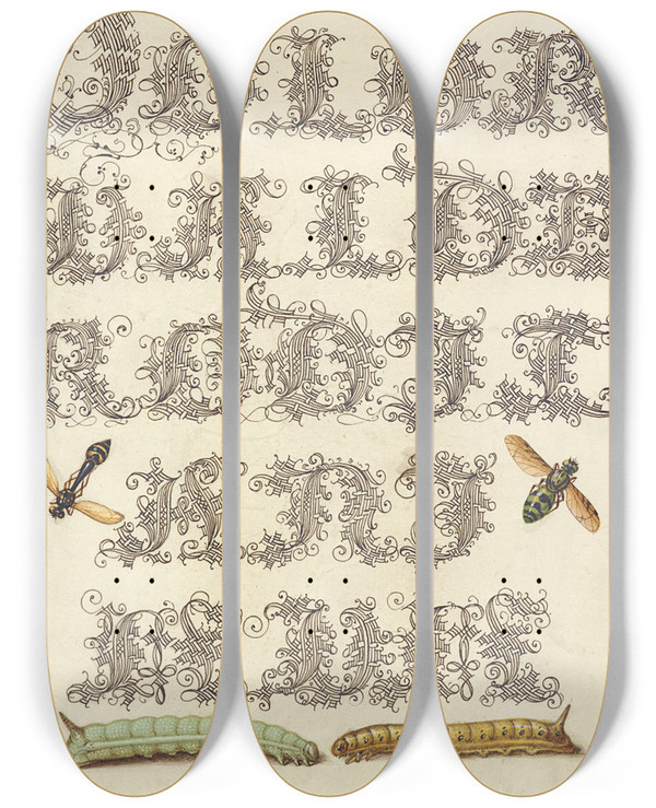 Triptych art skateboard deck of Joris Hoefnagel Potter Wasp Hover Fly And Caterpillars by Joris Hoefnagel (1542-1600)