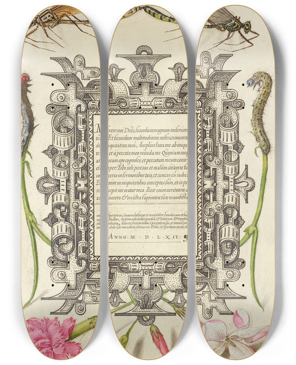 Triptych art skateboard deck of Joris Hoefnagel Damselflies Caterpillars Carnation And Poets Jasmine by Joris Hoefnagel (1542-1600)