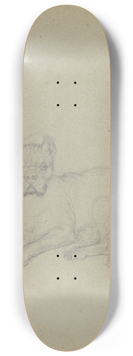 Ferdinand Fellner - Lying dog 8.25 inch art skate deck