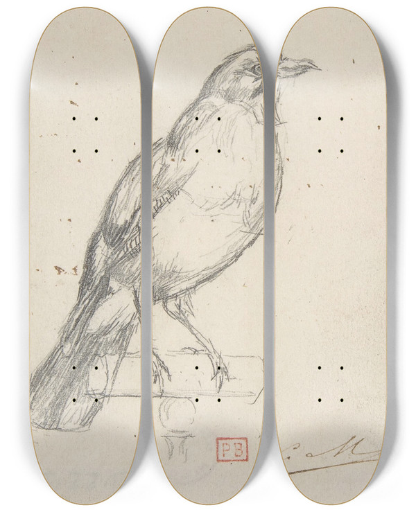 Triptych art skateboard deck of Charles Meryon A European Jay by Charles Meryon (1821-1868)
