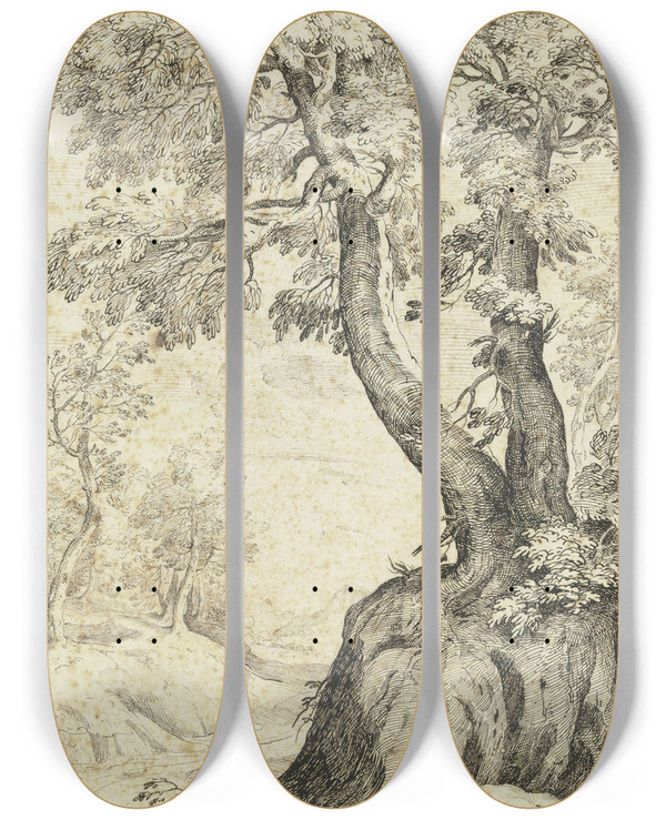 Triptych art skateboard deck of Bernardo Zilotti Tree Section by Bernardo Zilotti