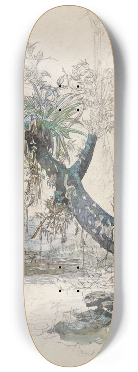 Ferdinand Keller - Baumzweig mit Lianen an einem Urwaldfluss 8.25 inch art skate deck
