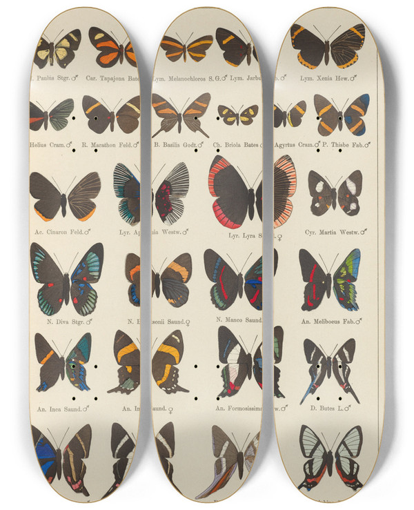 Triptych art skateboard deck of Otto Staudinger Exotische Schmetterlinge Pl089 by Otto Staudinger (1830-1900)