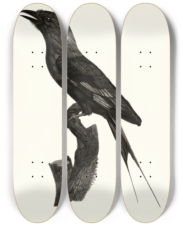 Triptych art skateboard deck of Jacques Barraband Le Rollier Ventre Bleu by Jacques Barraband (1767-1809)