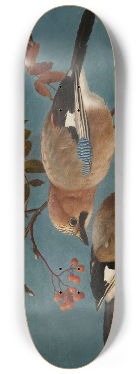 Ferdinand von Wright - Jays 8.25 inch art skate deck