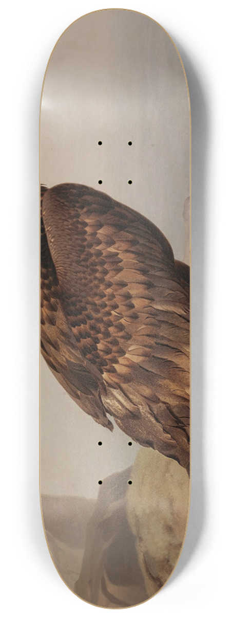 Ferdinand von Wright - White-Tailed Eagle With Its Prey 8.25 inch art skate deck