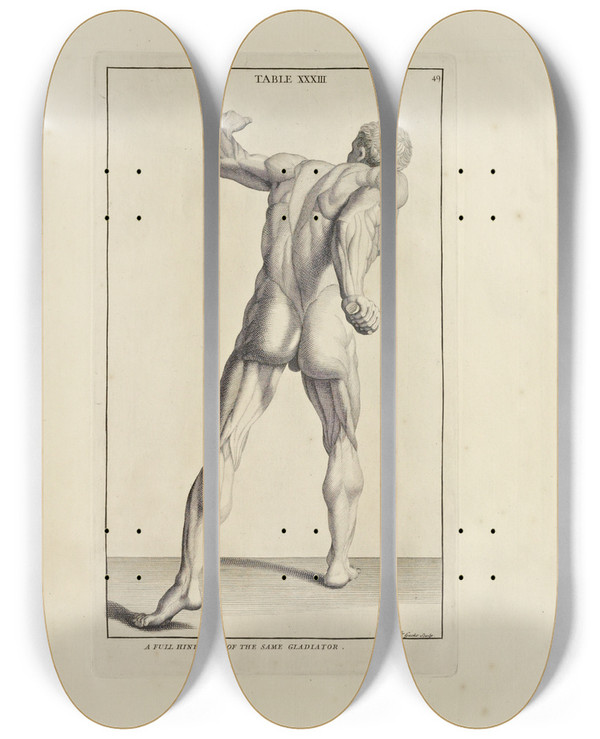 Triptych art skateboard deck of Michael Van Der Gucht Anatomy Improvd And Illustrated With Regard To The Uses Thereof In Designing Pl33 by Michael van der Gucht (1660-1725)