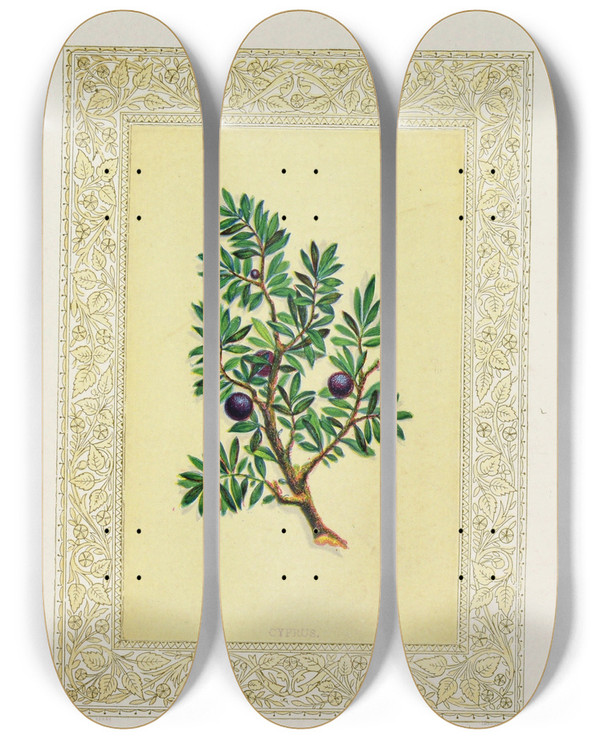 Triptych art skateboard deck of John Henry Ingram Cyprus by John Henry Ingram (1842-1916)