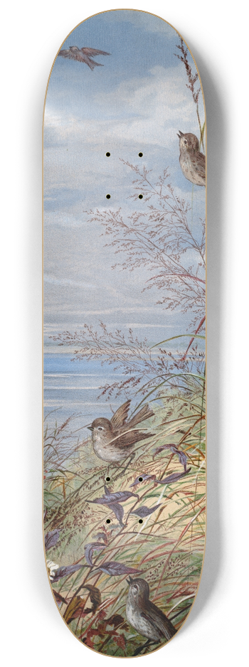 Fidelia Bridges - September 8.25 inch art skate deck