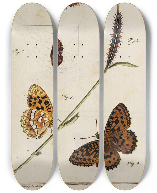 Triptych art skateboard deck of Johann Caspar Fuessli Archives De Lhistoire Des Insectes Pl01 by Johann Caspar Fuessli (1743-1786)