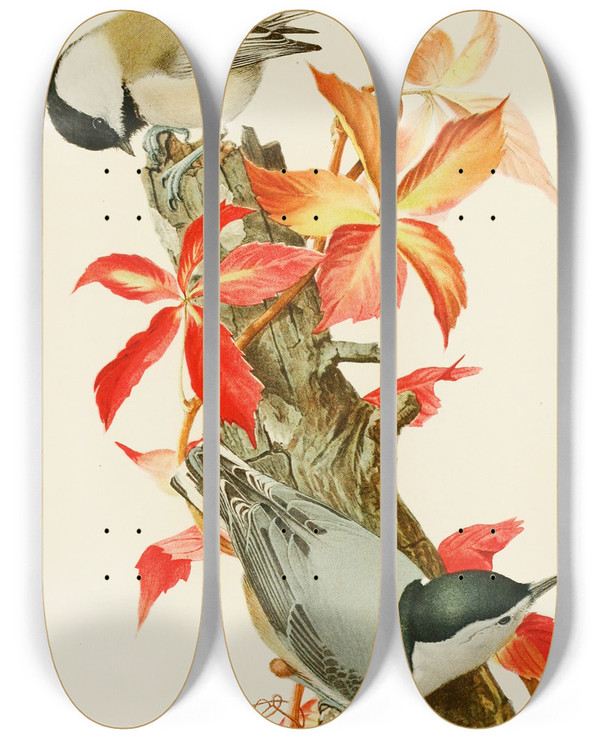 Triptych art skateboard deck of Louis Agassiz Fuertes Chickadeewhitebreasted Nuthatch by Louis Agassiz Fuertes (1874-1927)