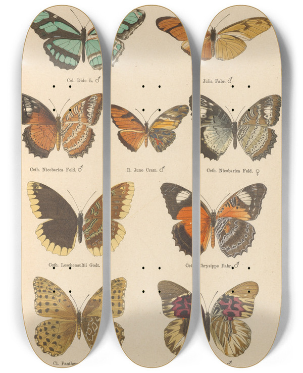 Triptych art skateboard deck of Otto Staudinger Exotische Schmetterlinge Pl034 by Otto Staudinger (1830-1900)