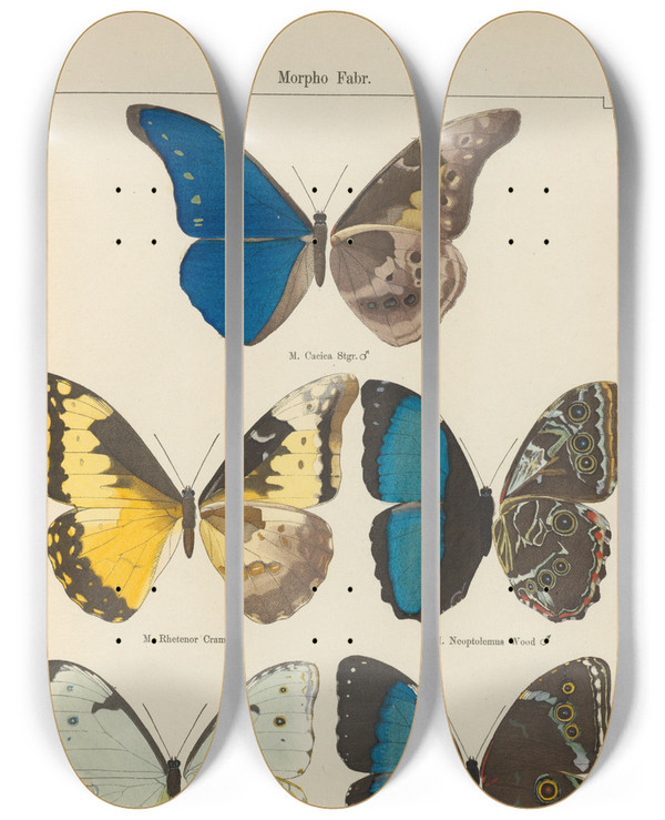 Triptych art skateboard deck of Otto Staudinger Exotische Schmetterlinge Pl070 by Otto Staudinger (1830-1900)