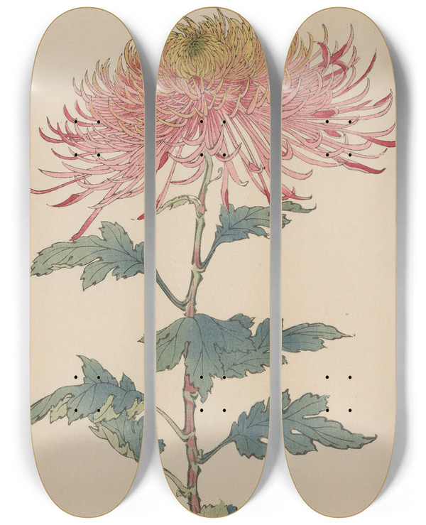Triptych art skateboard deck of Keika Hasegawa Keika Hyakugiku Pl32 by Keika Hasegawa (1892-1905)