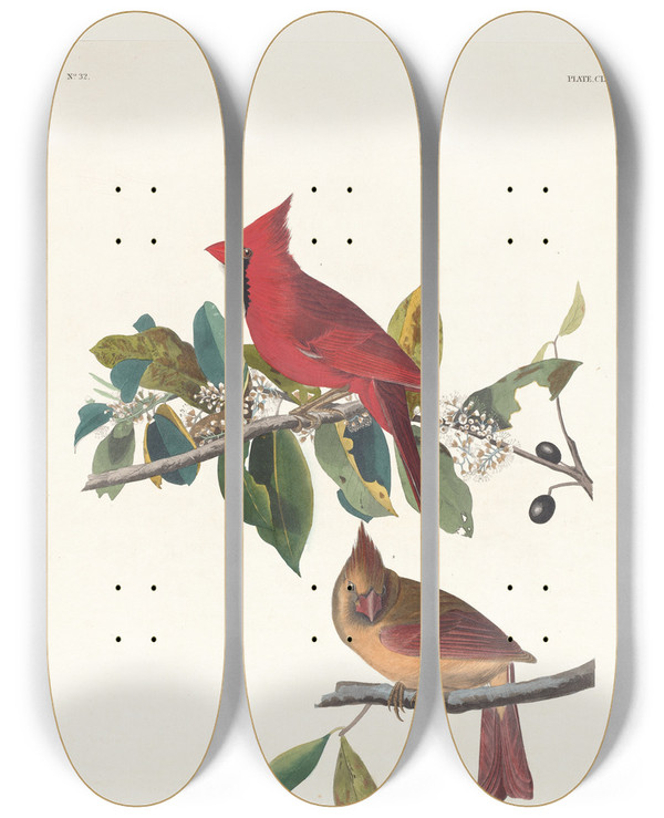 Triptych art skateboard deck of John James Audubon Cardinal Grosbeak by John James Audubon (1785-1851)