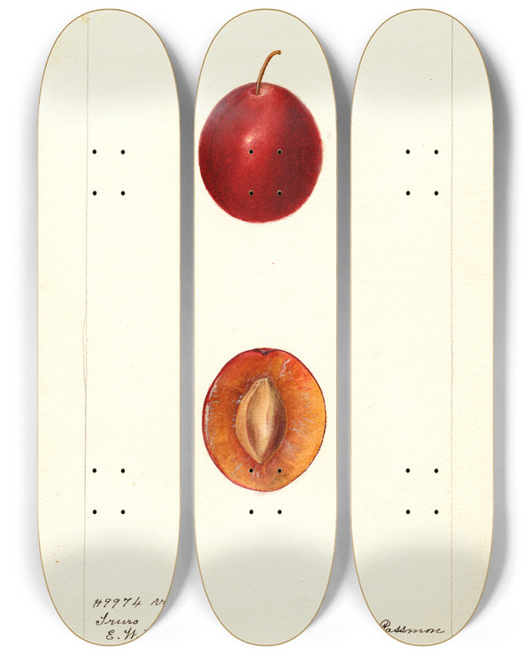 Triptych art skateboard deck of Deborah Griscom Passmore Prunus Domestica Truro by Deborah Griscom Passmore (1840-1911)