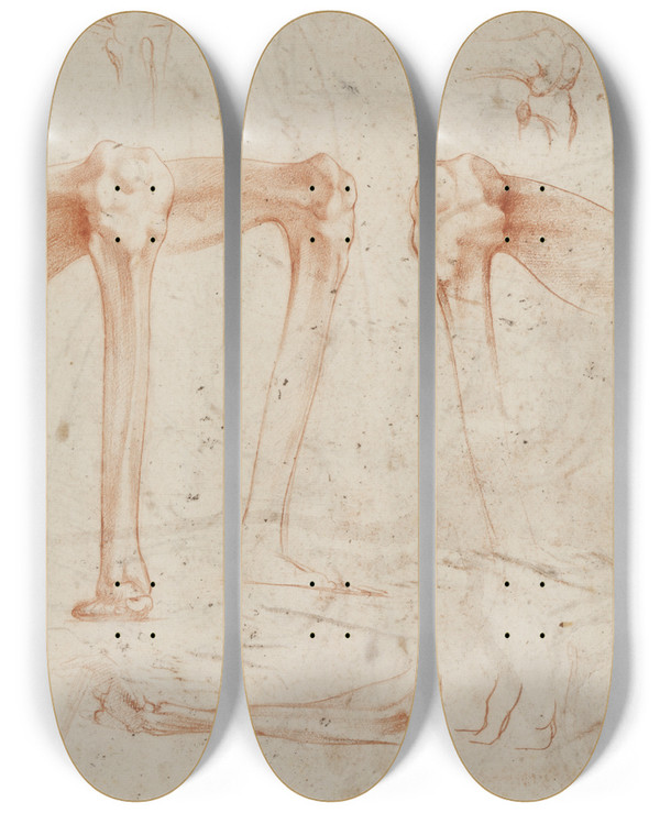 Triptych art skateboard deck of Rosso Fiorentino Studies Of Legs Knees And Arms by Rosso Fiorentino (1494-1540)