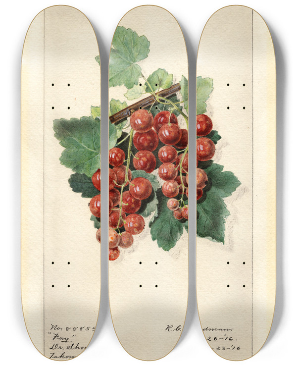 Triptych art skateboard deck of Royal Charles Steadman Ribes Fay by Royal Charles Steadman (1875-1964)