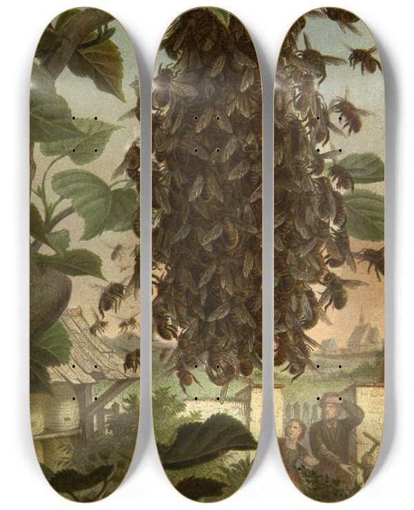 Triptych art skateboard deck of Alfred Edmund Brehm Die Insekten Tausendfussler Und Spinnen Pl 08 by Alfred Edmund Brehm (1829-1884)